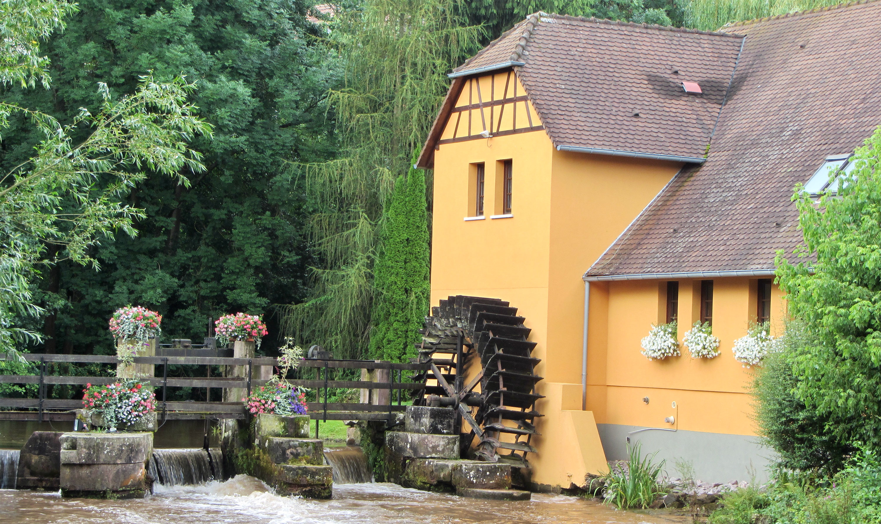 header 29 - 461 Tage